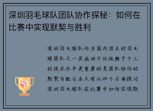 深圳羽毛球队团队协作探秘：如何在比赛中实现默契与胜利